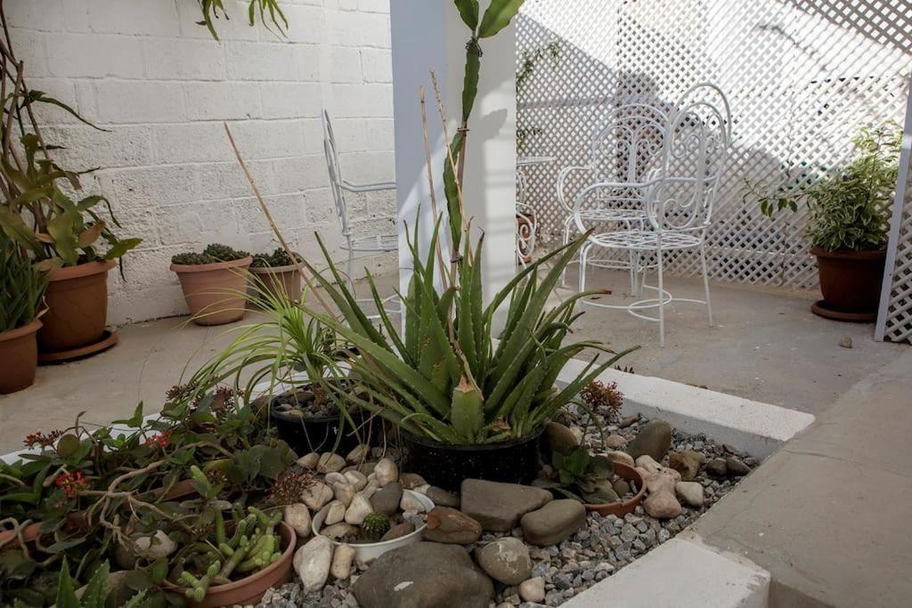 Templar Guesthouse Famagusta  Ngoại thất bức ảnh